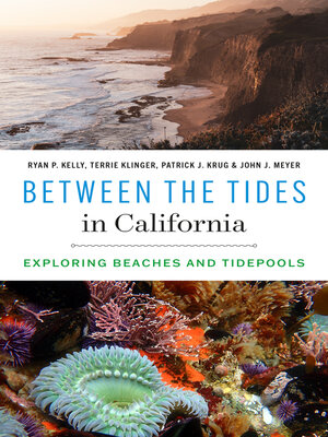 cover image of Between the Tides in California